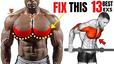 Best Inner Lower And Upper Chest Workout At Gym Meilleurs Exs