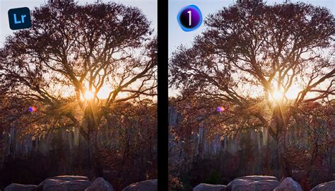 Lightroom V Capture One The Best Tested For