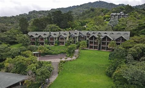 The Best Monteverde Cloud Forest Hotels, Costa Rica (2024) | Wayfare With Pierre