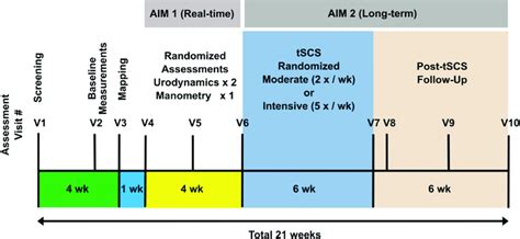 trial design study timeline showing  study visit   duration