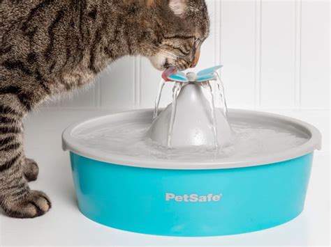 Why Cat Water Fountain Storables