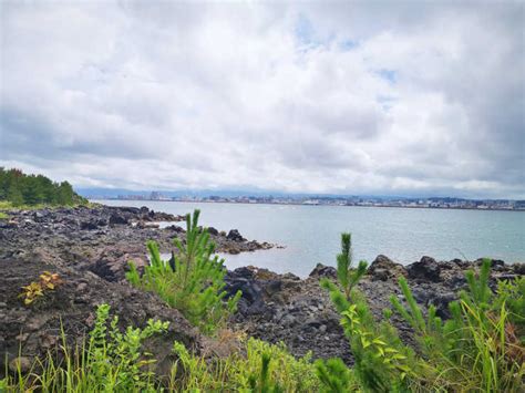 Sakurajima Volcano – Fascinating Local Culture & History (2024)