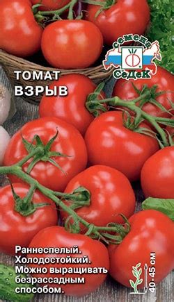 Томат "Взрыв" | Характеристика и описание сорта, урожайность, фото