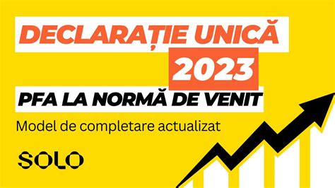 Model completare Declarație Unică 2023 pentru PFA la Normă de Venit