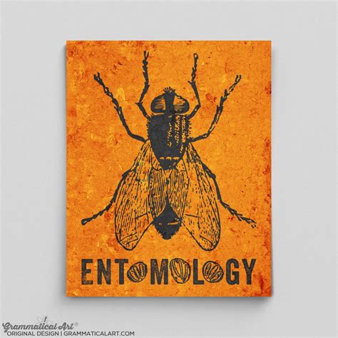 Forensics Gifts Entomology Poster Forensic Science Poster Life Cycle