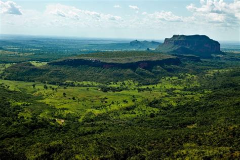 Chapada dos Guimarães Explore as belezas naturais da região no