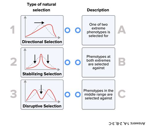 Natural Selection ( Read ) | Biology | CK-12 Foundation