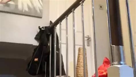 Dildo Play XHamster