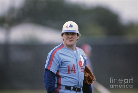 Baseball Player Pete Rose By Bettmann