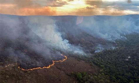 Brasil Reduz Em 12 Emissões De Gases Do Efeito Estufa Em 2023