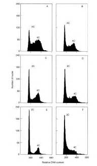 Histograms Of Flow Cytometric Analysis Of Nuclei Released From 1 Mm