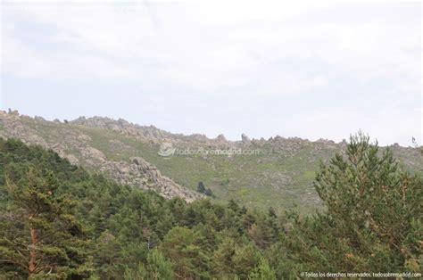 Foto Parque Regional De La Cuenca Alta Del Manzanares 44