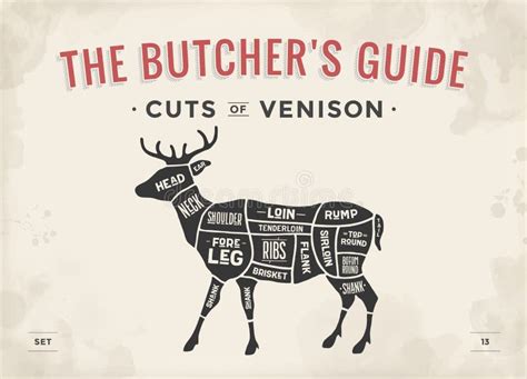 Cut Of Meat Set Poster Butcher Diagram Scheme And Guide Pork