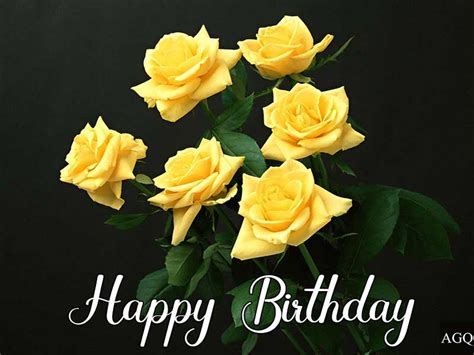 30 Happy Birthday Yellow Rose Images With Quotes