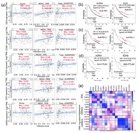 Association Of The Stemness Associated Genes With Immune Cell Download Scientific Diagram