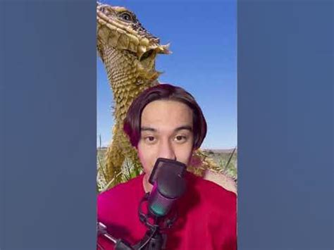 Дракон в реальной жизни - YouTube