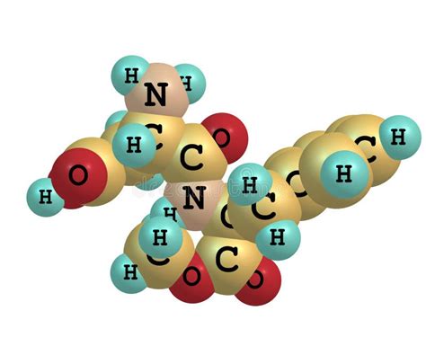 Aspartame Molecule Structural Chemical Formula Ball And Stick Model