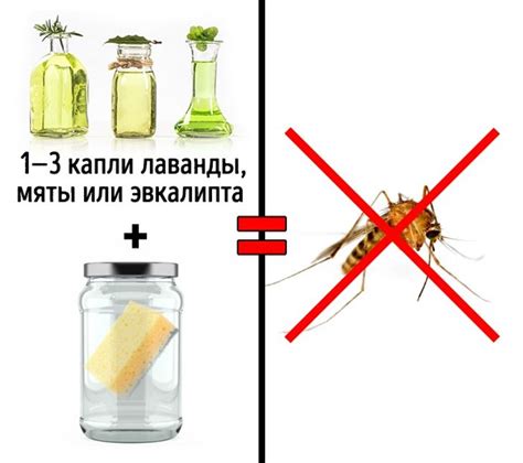 Как избавиться от комаров в домашних условиях