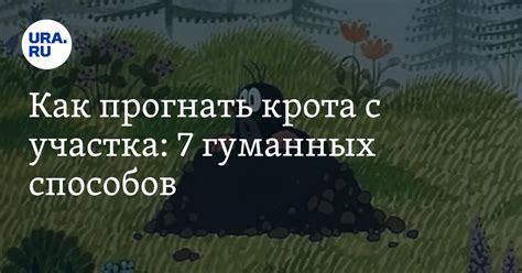 Кроты на участке: отпугиватель, как избавиться, вертушка, ловушка-труба ...