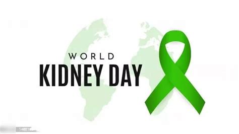 World Kidney Day 2023 Know The History And Significance Of This Day