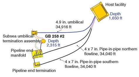 Flow Assurance Hydrates And Paraffin Management