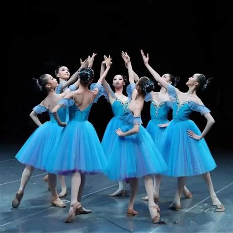 Longo Rom Ntico Ballet Tutu Azul Ballet Vestido Desempenho Roupas Swan