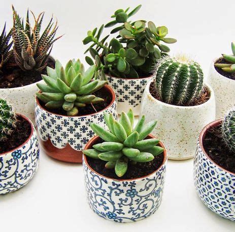 16 Simple Yet Beautiful DIY Cactus Pots That Everyone Can Make