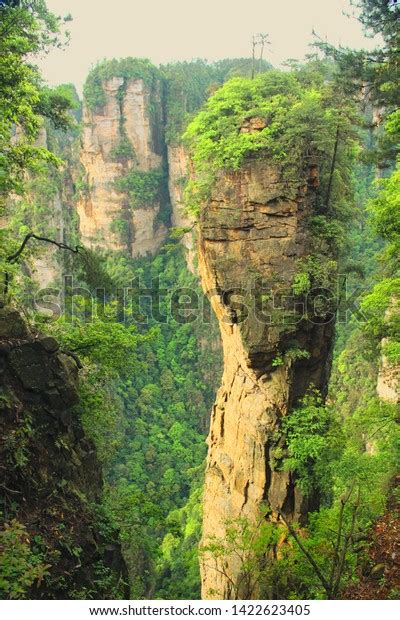 View Zhangjiajie Avatar National Park China Stock Photo 1422623405 ...