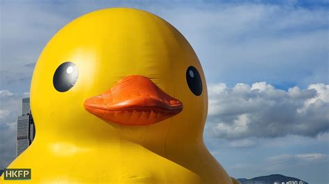 In Pictures Hong Kongs Heat Leaves Giant Rubber Duck Flying Solo