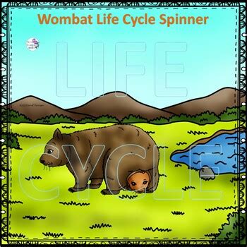 Wombat Life Cycle