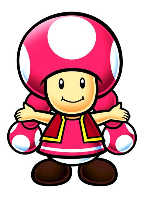 Dateimpa Artwork Toadette Mariowiki Fandom Powered By Wikia