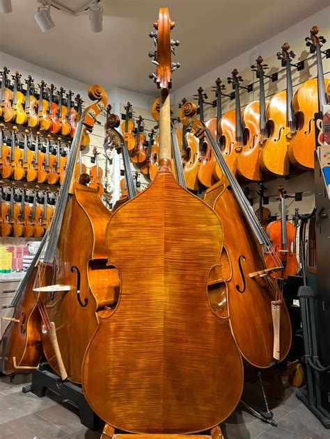 Pop Dumitru 5 Saiter Kontrabass Bass Kaufen Violin Musicstore