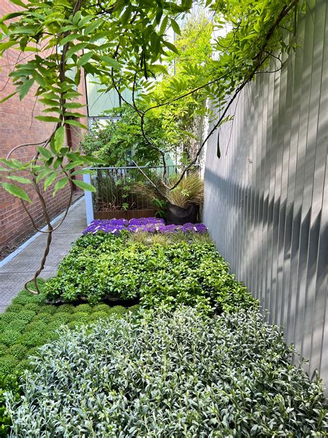 Islington Residential Living Wall | Meristem Design