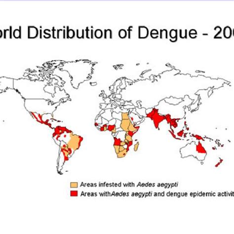 World distribution map of dengue and Aedes aegypti in 2005 (adapted ...