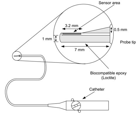 The Pt Sensor Is Placed At The Tip Of A Catheter Probe Surrounded By Download Scientific