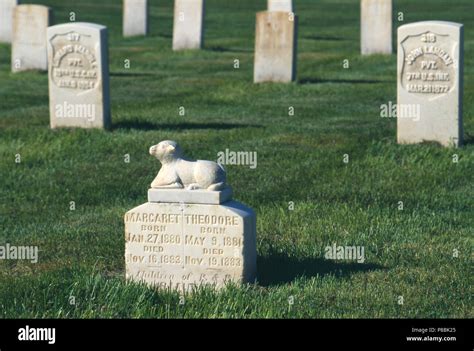 Grave Lamb Hi Res Stock Photography And Images Alamy