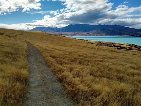 Lake Tekapo, New Zealand's South Island : r/hiking