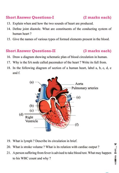 Body Fluids And Circulation Notes For Class 11 Biology PDF OneEdu24