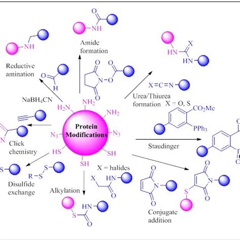 Scope And Potential Of Chemical Site Selective Protein Modification