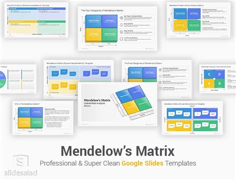 Mendelows Matrix Google Slides Template Designs Slidesalad