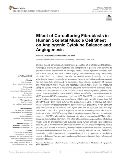 PDF Effect Of Co Culturing Fibroblasts In Human Skeletal Muscle Cell