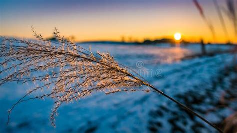 Beautiful Winter Wonderland Forest Stock Image - Image of enchanted ...