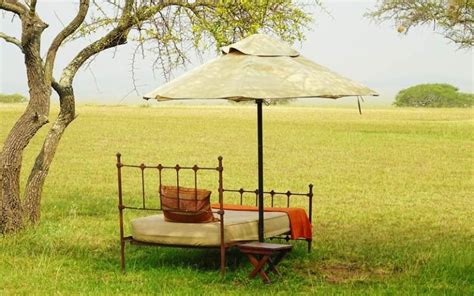 Tanzania Safari and Beach Holidays - Best Locations and More