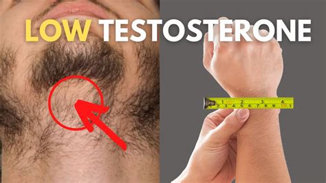 7 Signs Your Testosterone Levels Are Dropping They Are Lower Than