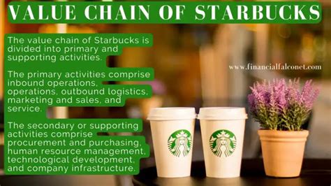 Descubre cómo Starbucks crea valor y triunfa en el mercado ejemplos y