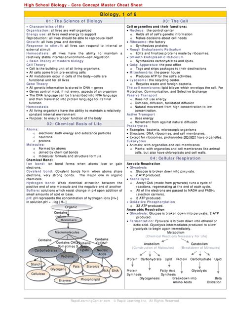 Biology Cheat Sheet Fill Out And Sign Online Dochub