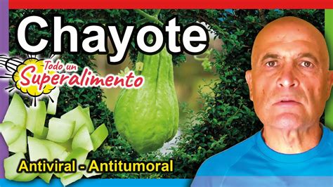 Todo Lo Que Debes Saber Sobre El Chayote En Espa A Beneficios Usos Y