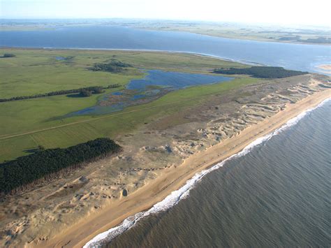 Discovering Laguna de Rocha