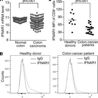 Ifnar Is Down Regulated In Ctls Of Human Colon Cancer Patients A