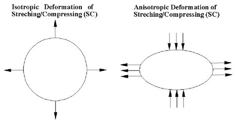 Schematic drawing for isotropic and anisotropic deformations of ...